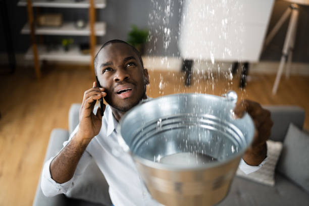 Best Water damage restoration insurance claims  in Honaker, VA