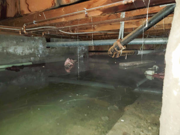  Honaker, VA Water damage restoration Pros