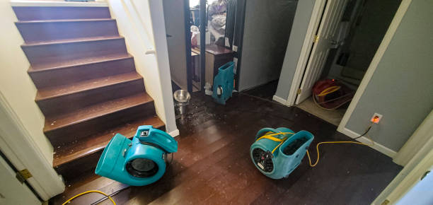 Best Local water damage restoration  in Honaker, VA