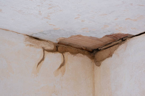 Water damage restoration insurance claims in Honaker, VA